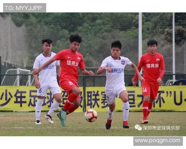 深圳排球队在大师赛中的耐力表现分析与启示 深圳排球队在大师赛中的耐力表现分析与启示