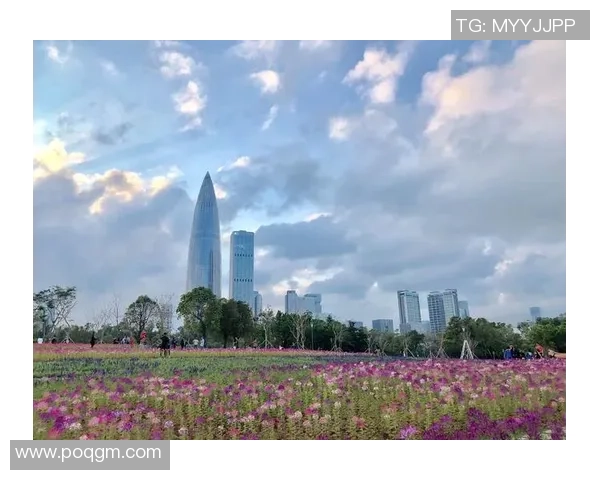 深圳羽毛球队的精神探秘与荣耀之路揭秘